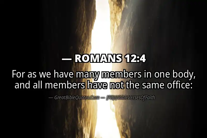 ROMANS 12:4 Verse Image
