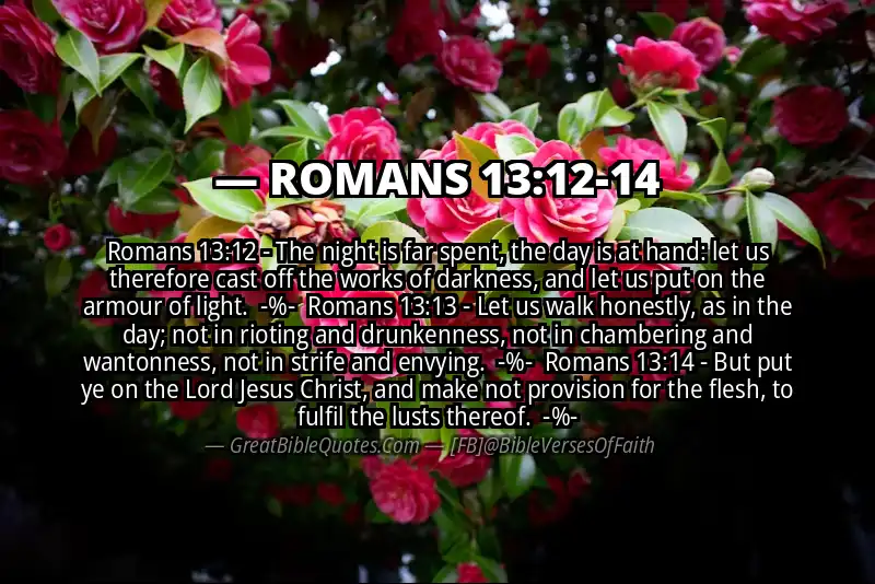 Image for ROMANS 13:12-14 Bible verse