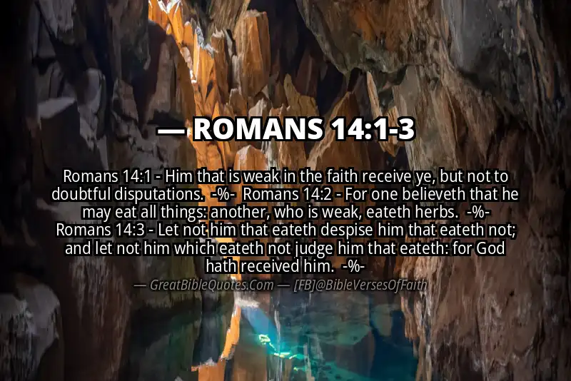 Image for ROMANS 14:1-3 Bible verse