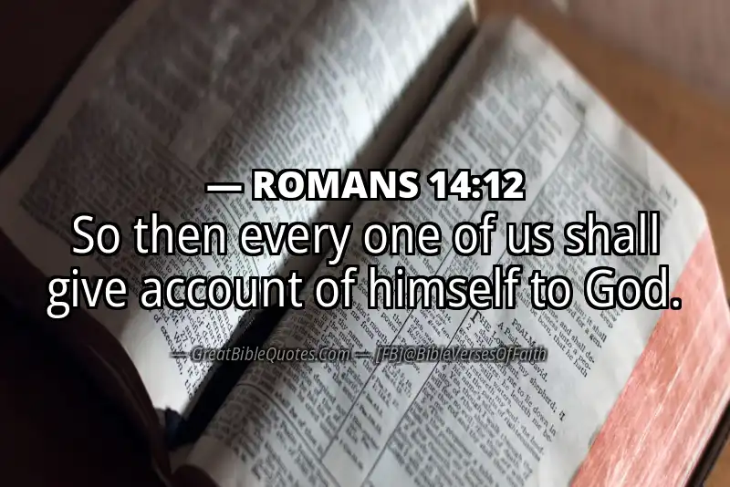 ROMANS 14:12 Verse