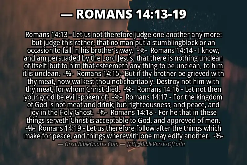 Image for ROMANS 14:13-19 Bible verse