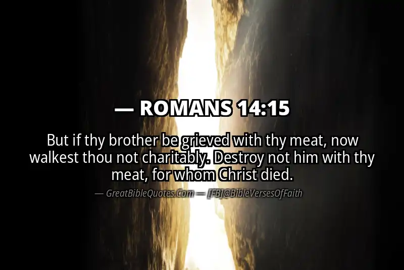 ROMANS 14:15 Verse