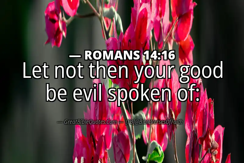 ROMANS 14:16 Verse