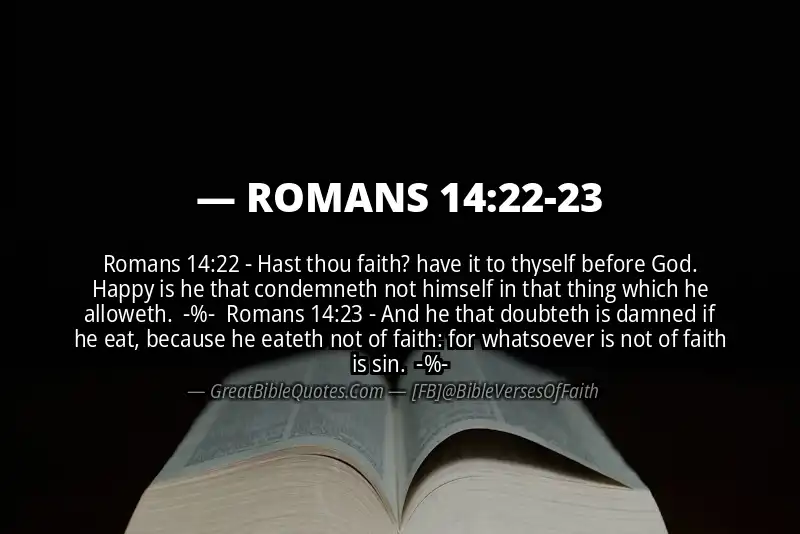 Image for ROMANS 14:22-23 Bible verse