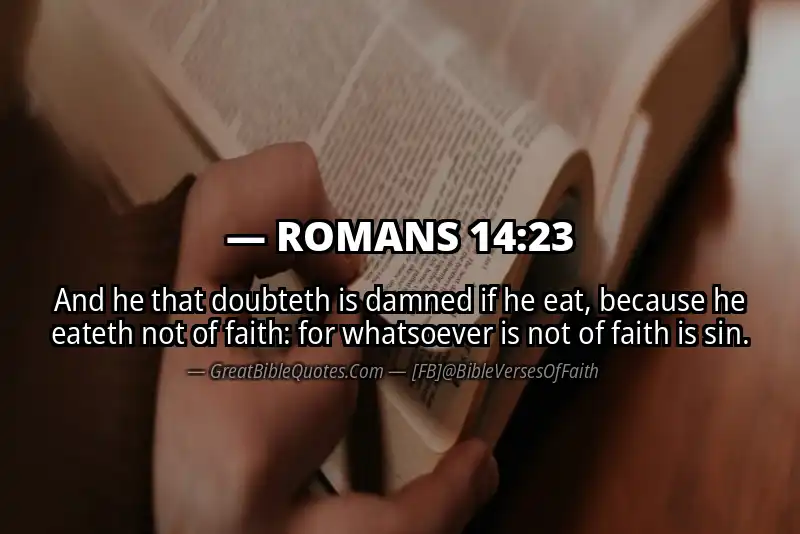 Image for ROMANS 14:23 Bible verse