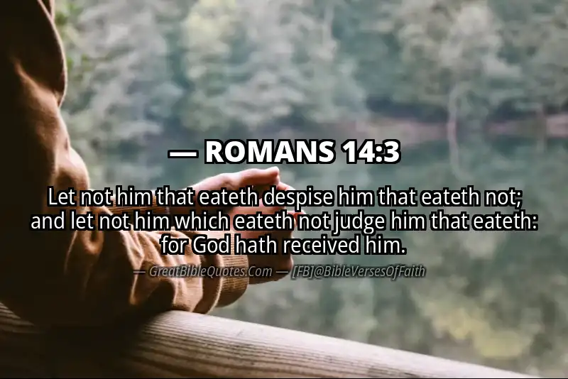 ROMANS 14:3 Verse