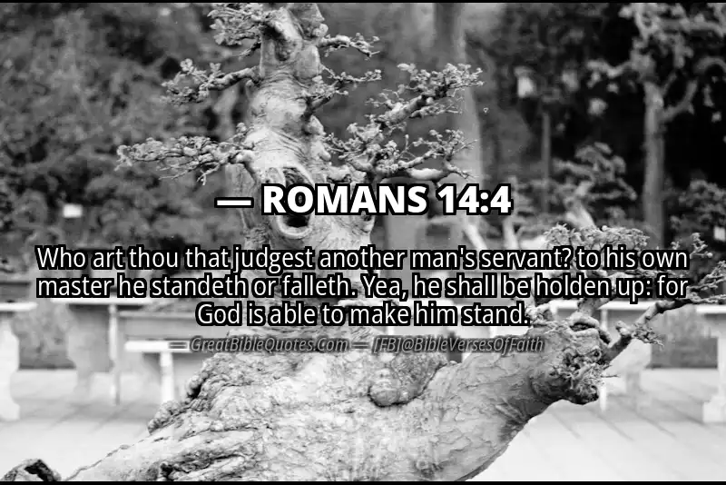 ROMANS 14:4 Verse