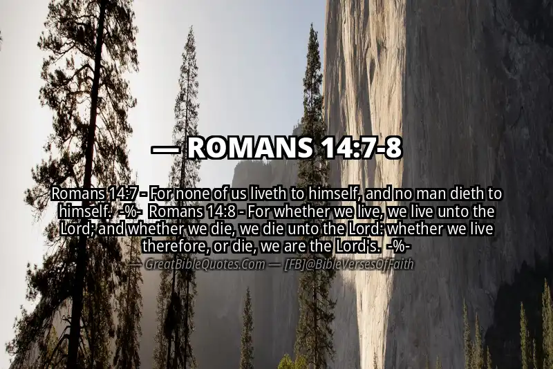 Image for ROMANS 14:7-8 Bible verse