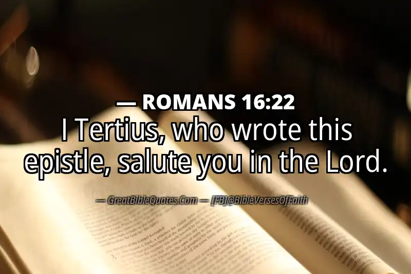 ROMANS 16:22 Verse