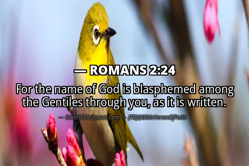 ROMANS 2:24 Verse