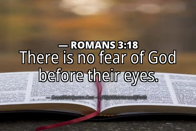 ROMANS 3:18 Verse