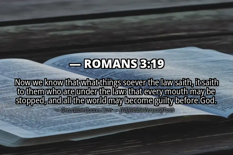 ROMANS 3:19 Verse