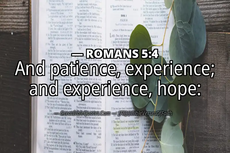 ROMANS 5:4 Verse