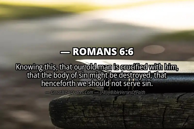 Image for ROMANS 6:6 Bible verse