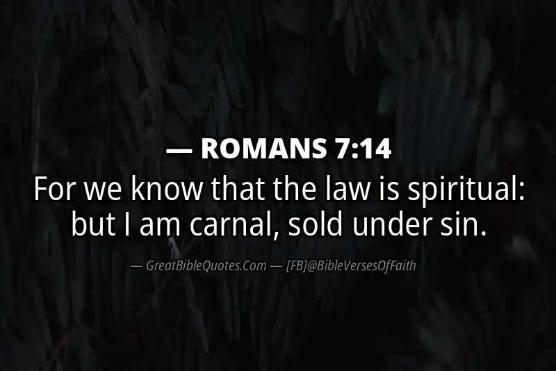 ROMANS 7:14 Verse