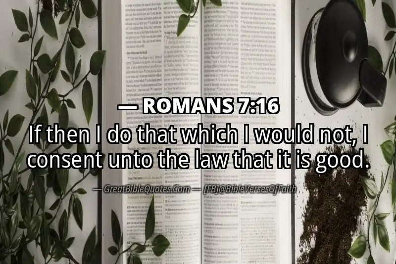 ROMANS 7:16 Verse