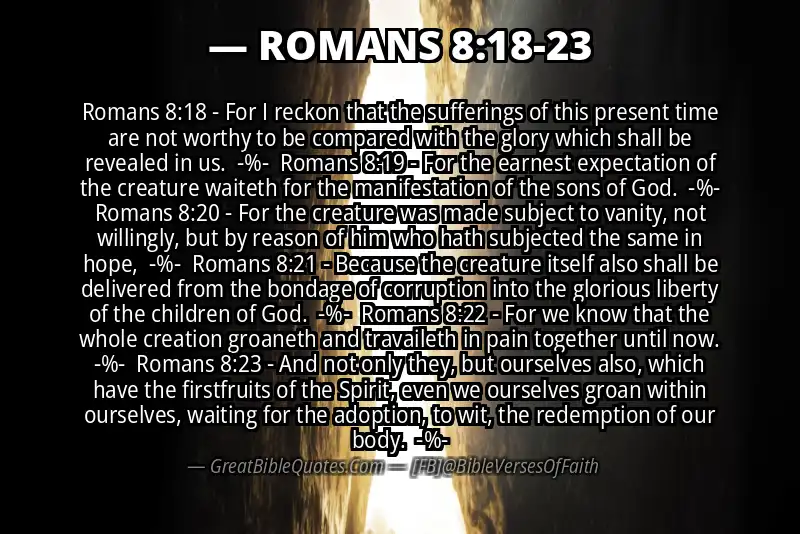 Image for ROMANS 8:18-23 Bible verse