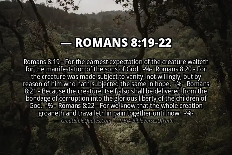 Image for ROMANS 8:19-22 Bible verse