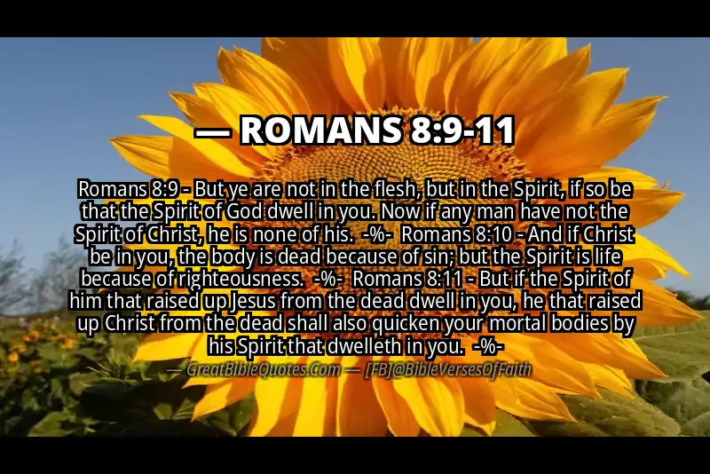 Image for ROMANS 8:9-11 Bible verse