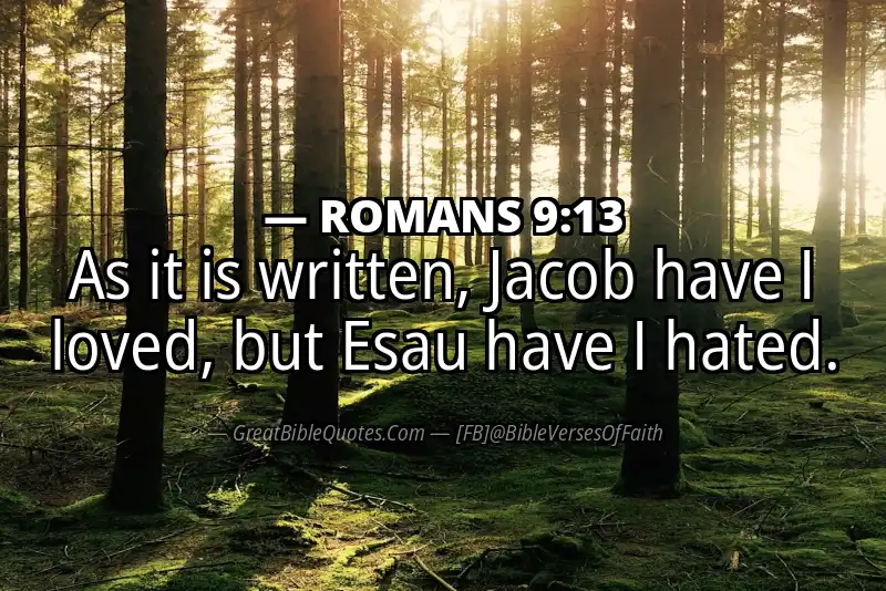 ROMANS 9:13 Verse