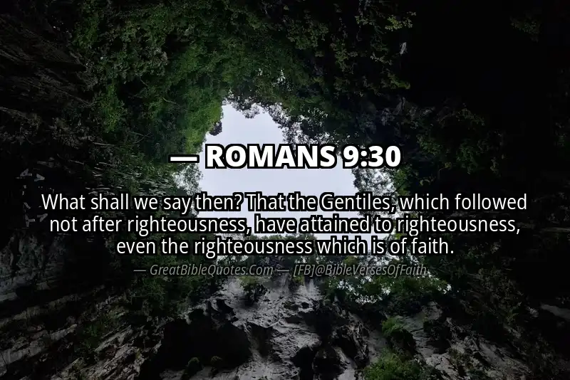 ROMANS 9:30 Verse