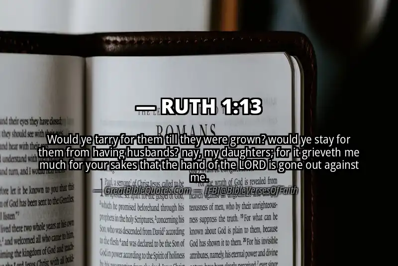 Bible verse: RUTH 1:13 Image
