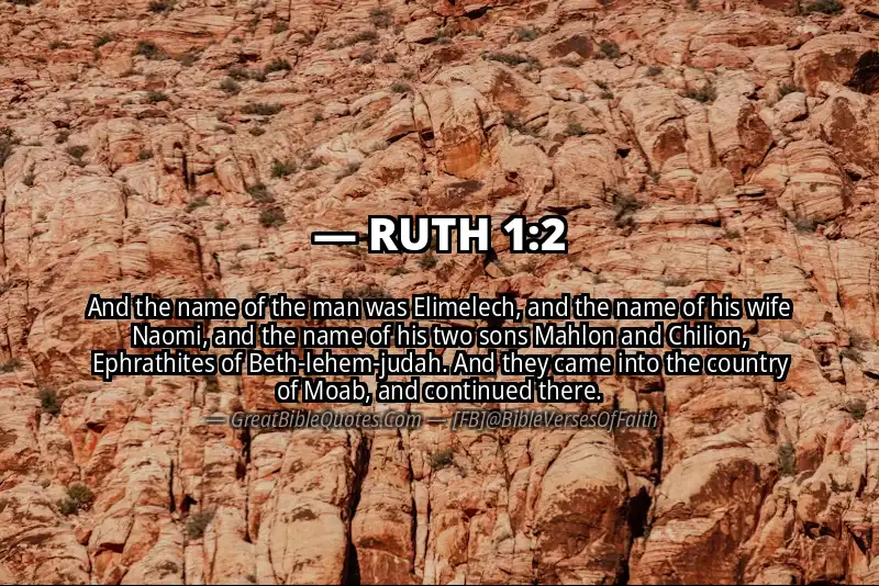 Bible verse: RUTH 1:2 Image