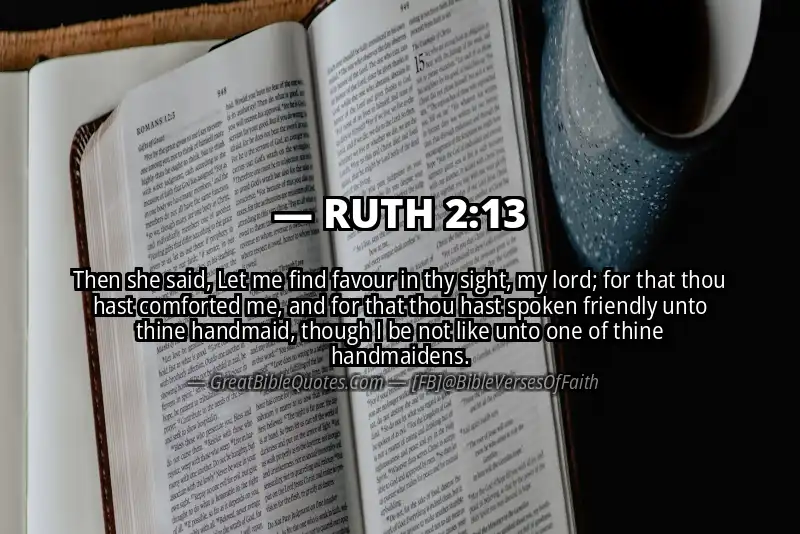 Bible verse: RUTH 2:13 Image