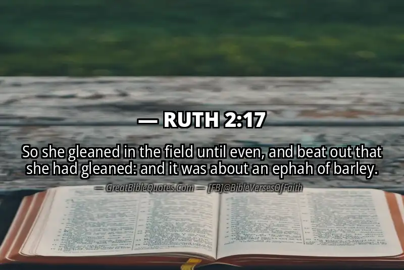 Bible verse: RUTH 2:17 Image