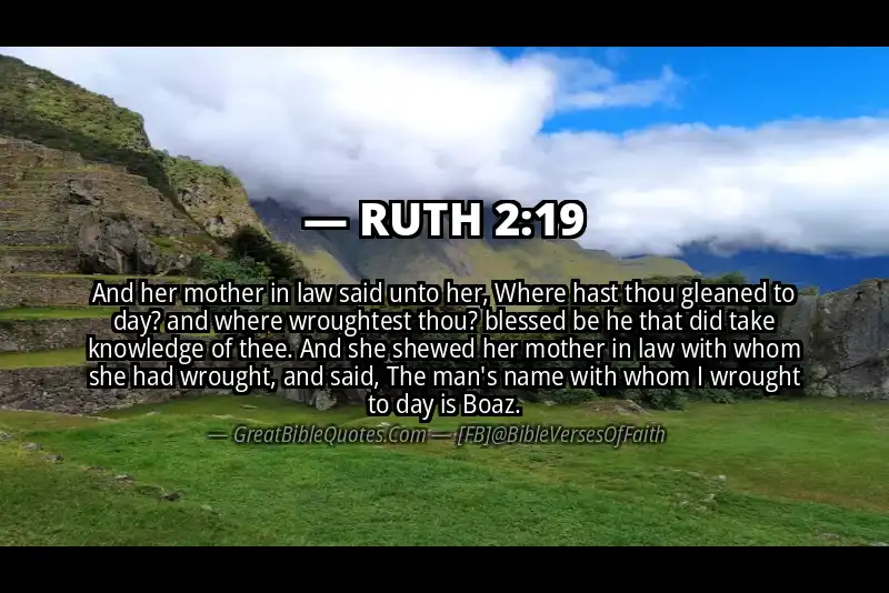 Bible verse: RUTH 2:19 Image