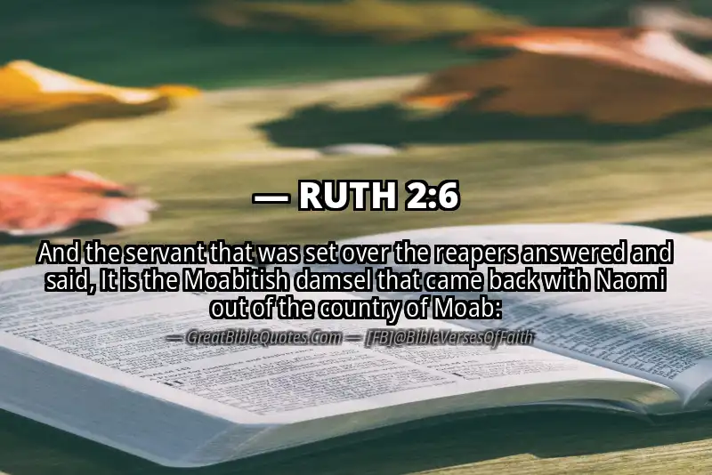 RUTH 2:6 Verse Image