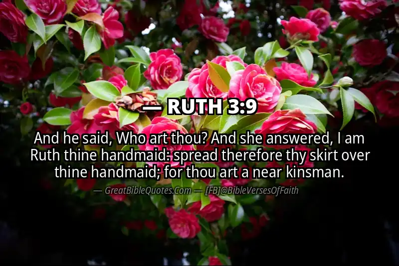 RUTH 3:9 Verse