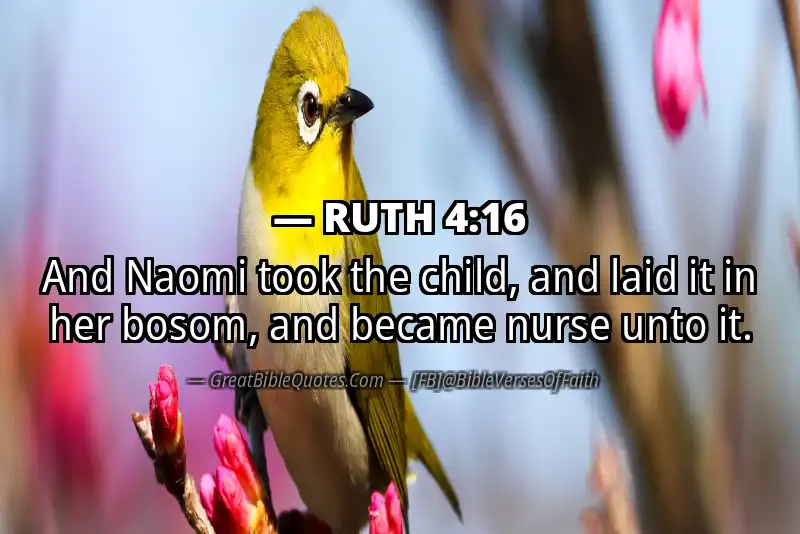 RUTH 4:16 Verse