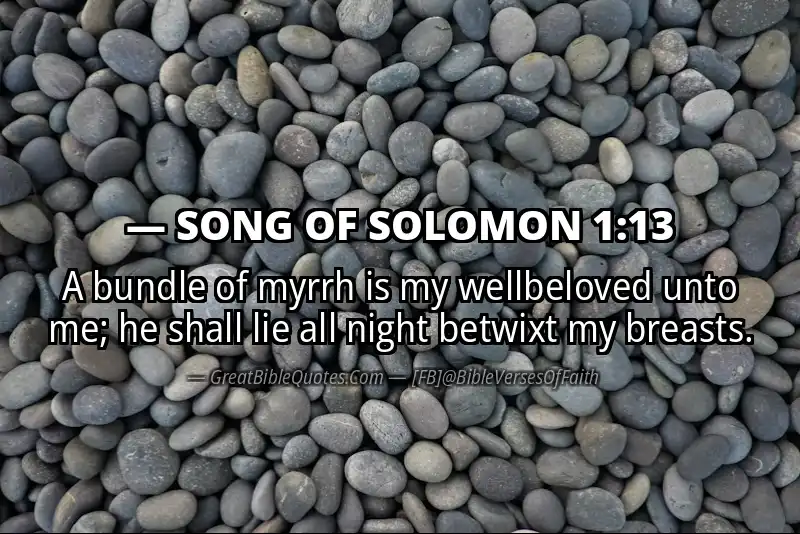 SONG OF SOLOMON 1:13 Verse