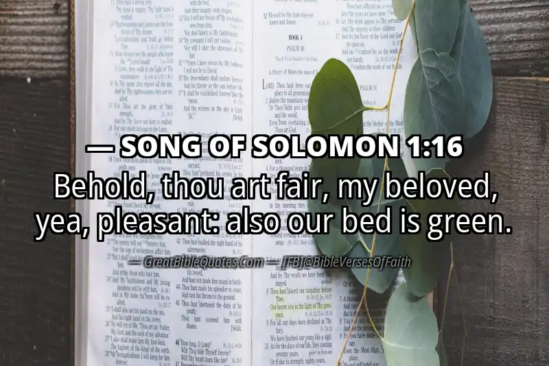 Bible verse: SONG OF SOLOMON 1:16 Image
