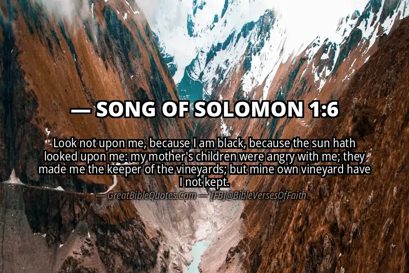 Bible verse: SONG OF SOLOMON 1:6 Image