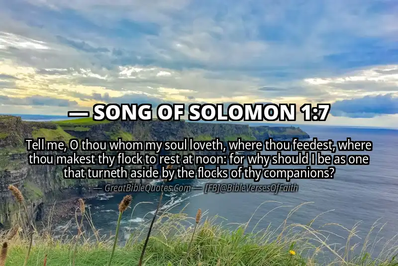 Bible verse: SONG OF SOLOMON 1:7 Image