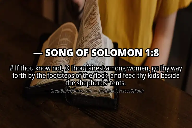 SONG OF SOLOMON 1:8 Verse