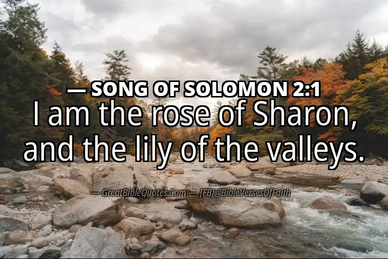 Bible verse: SONG OF SOLOMON 2:1 Image