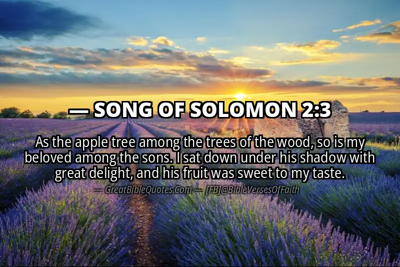 Bible verse: SONG OF SOLOMON 2:3 Image
