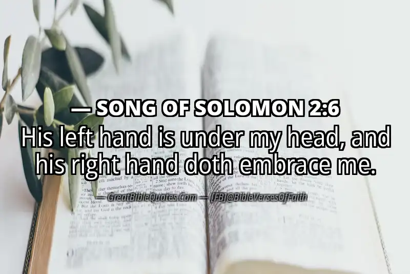 SONG OF SOLOMON 2:6 Verse