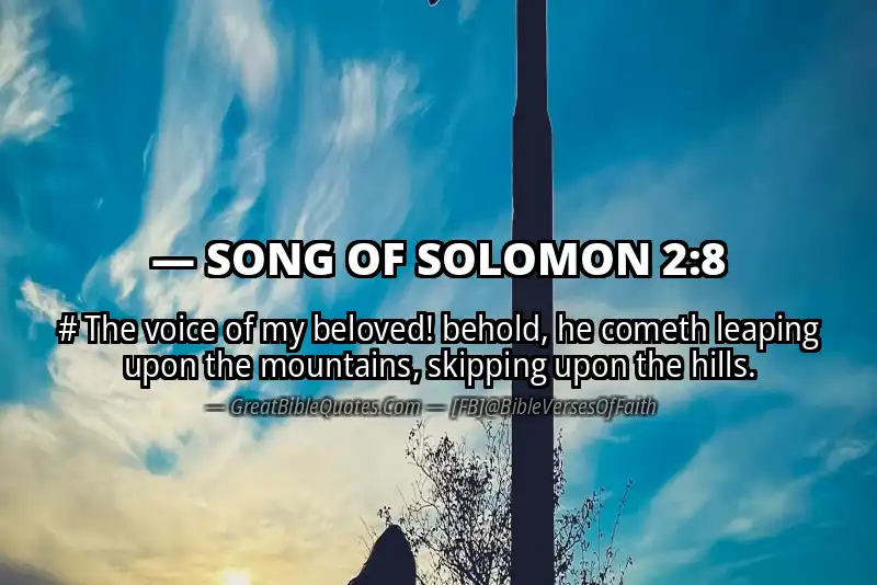 SONG OF SOLOMON 2:8 Verse