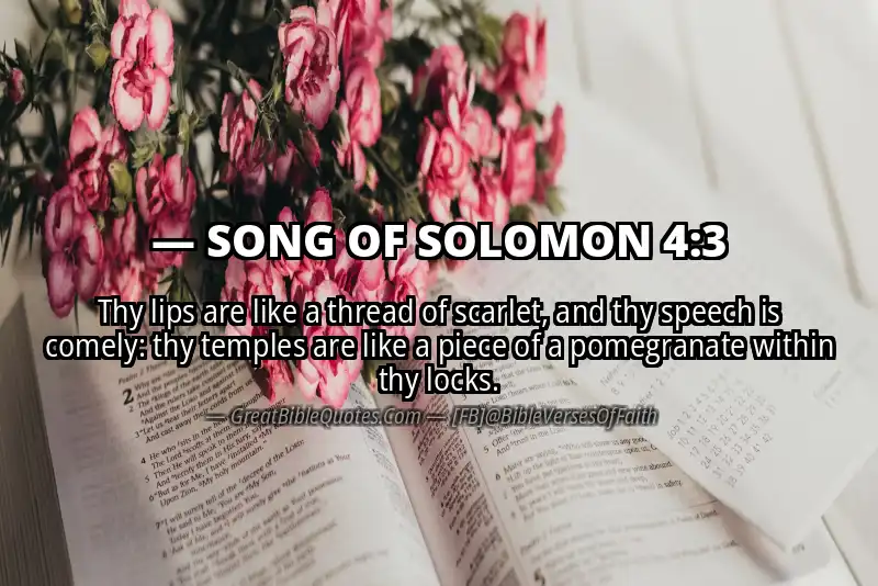 SONG OF SOLOMON 4:3 Verse