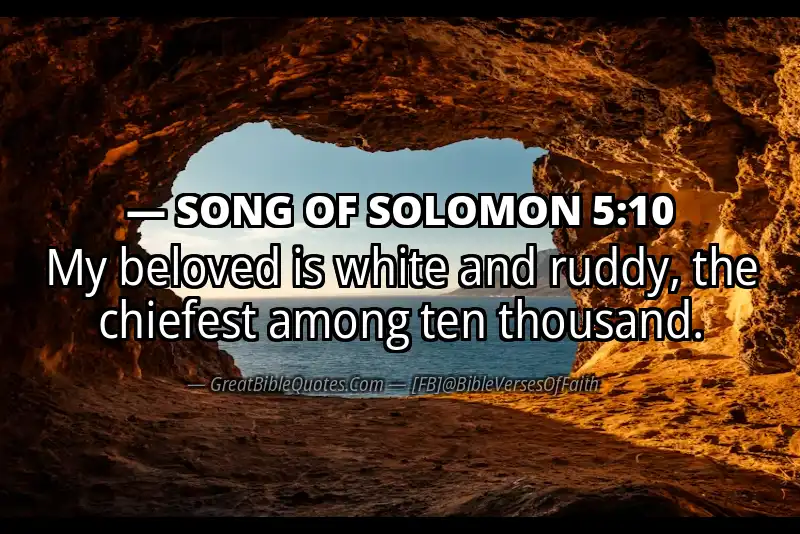 SONG OF SOLOMON 5:10 Verse
