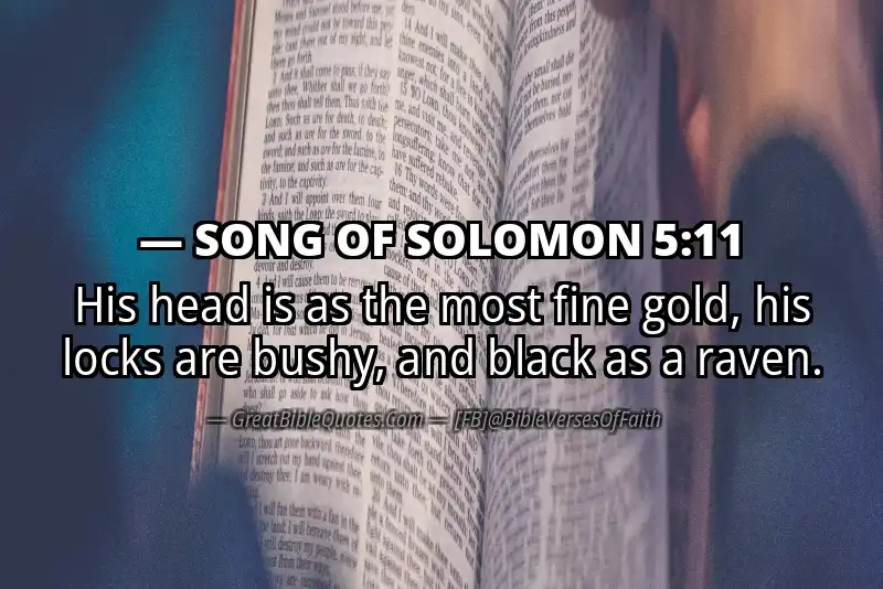 Bible verse: SONG OF SOLOMON 5:11 Image