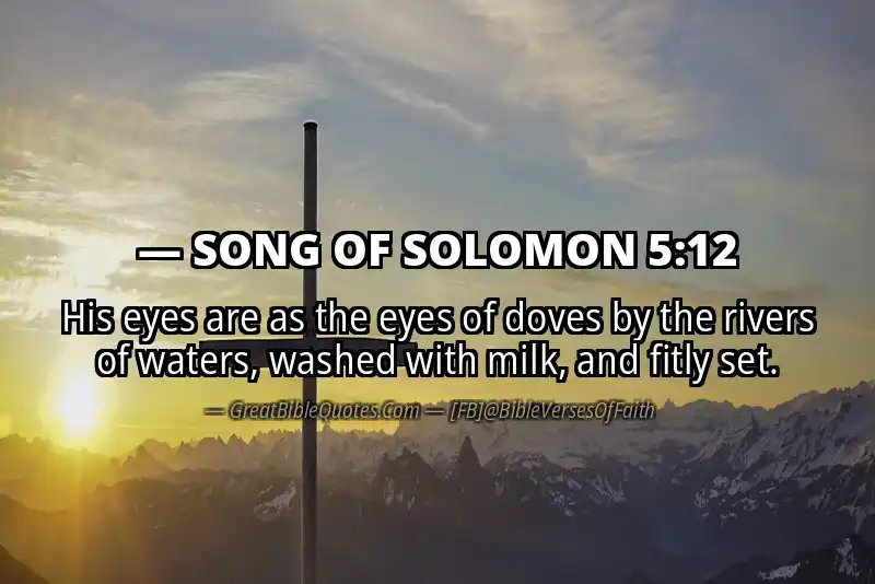 Bible verse: SONG OF SOLOMON 5:12 Image