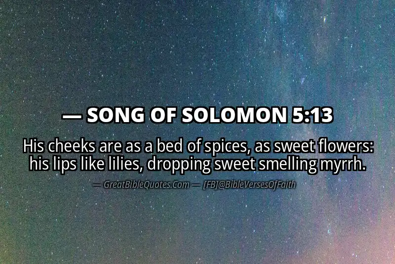 Bible verse: SONG OF SOLOMON 5:13 Image