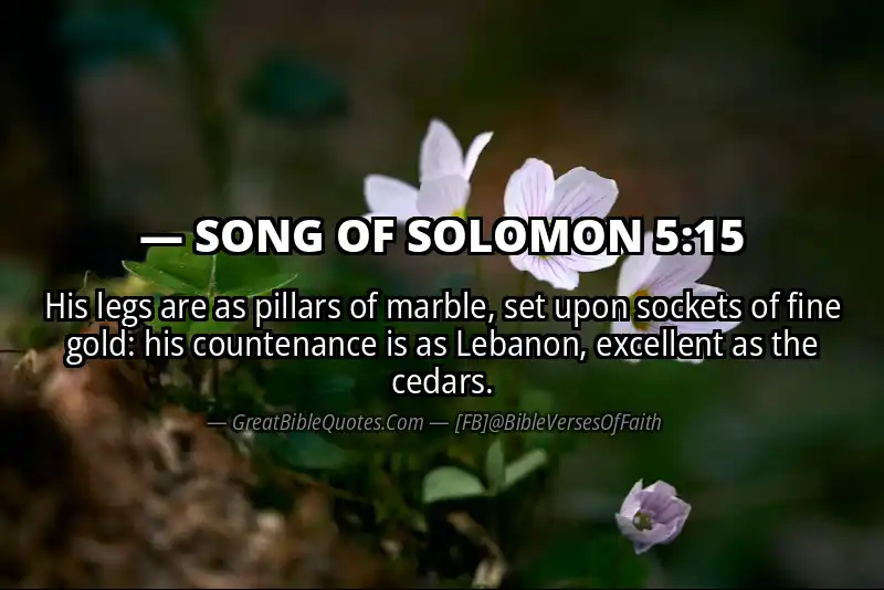 Bible verse: SONG OF SOLOMON 5:15 Image
