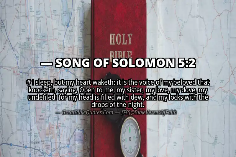 SONG OF SOLOMON 5:2 Verse