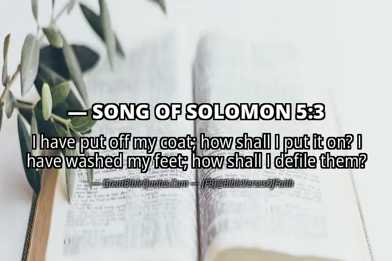 Bible verse: SONG OF SOLOMON 5:3 Image